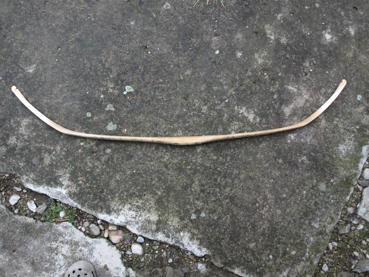 PB276375.JPG