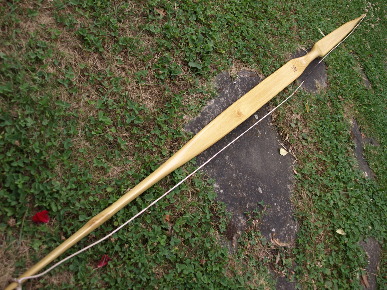 P7106584.JPG