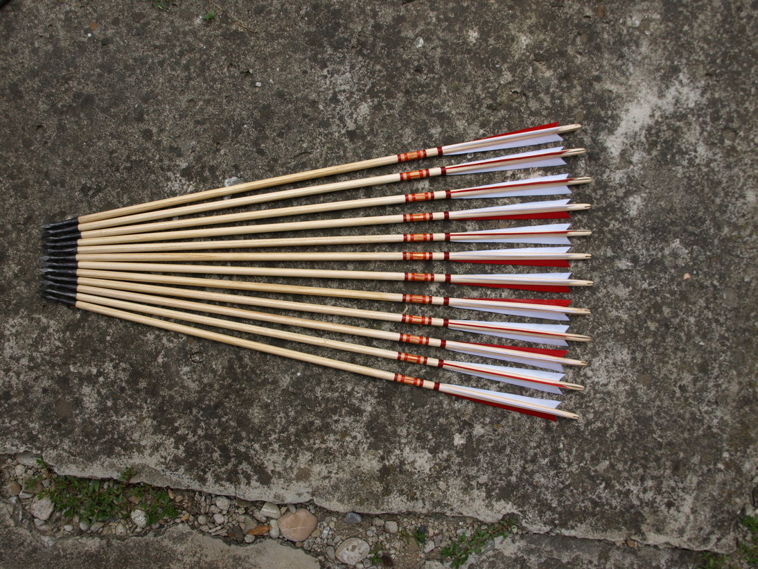 P8316694.JPG