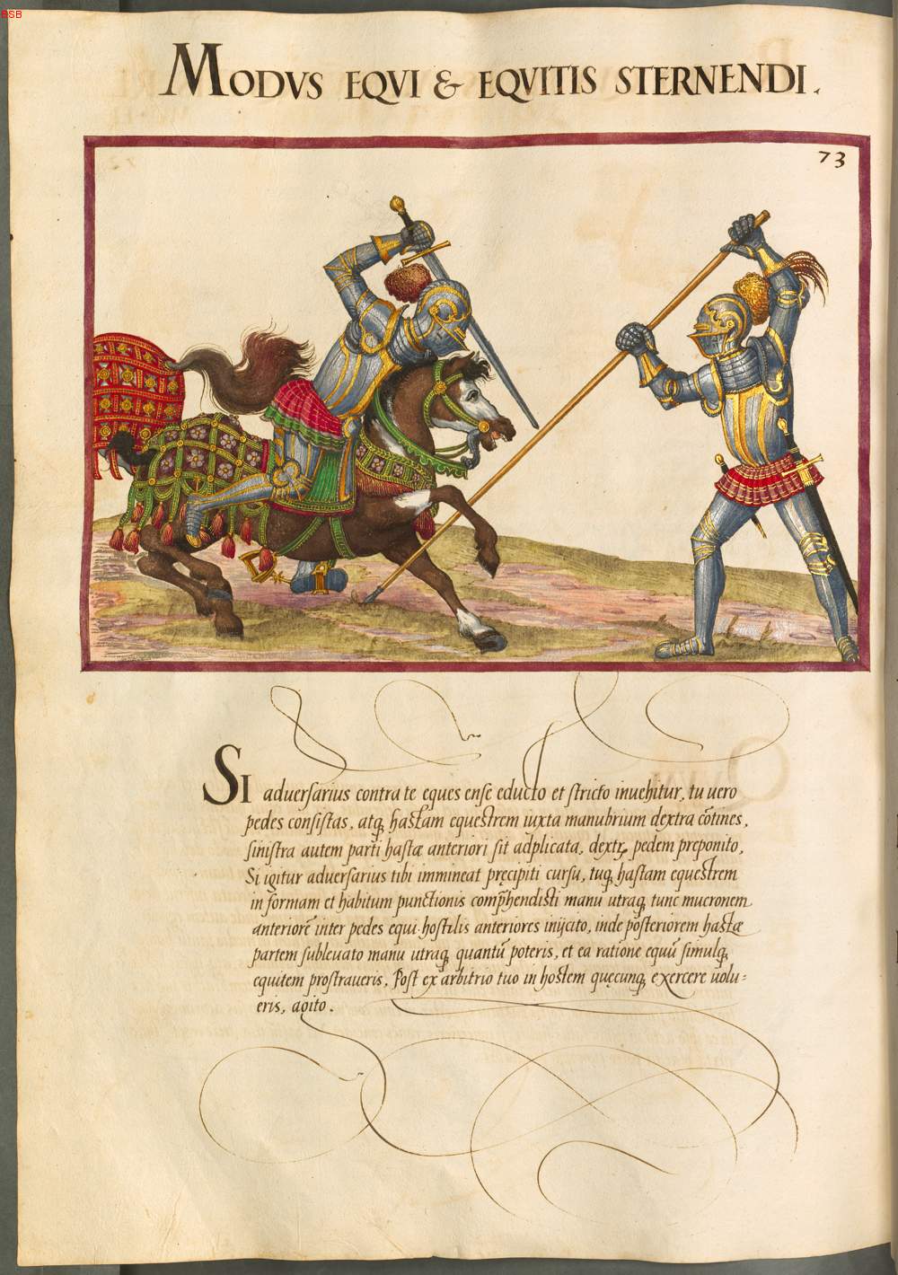 bsb00007894_00412.jpg