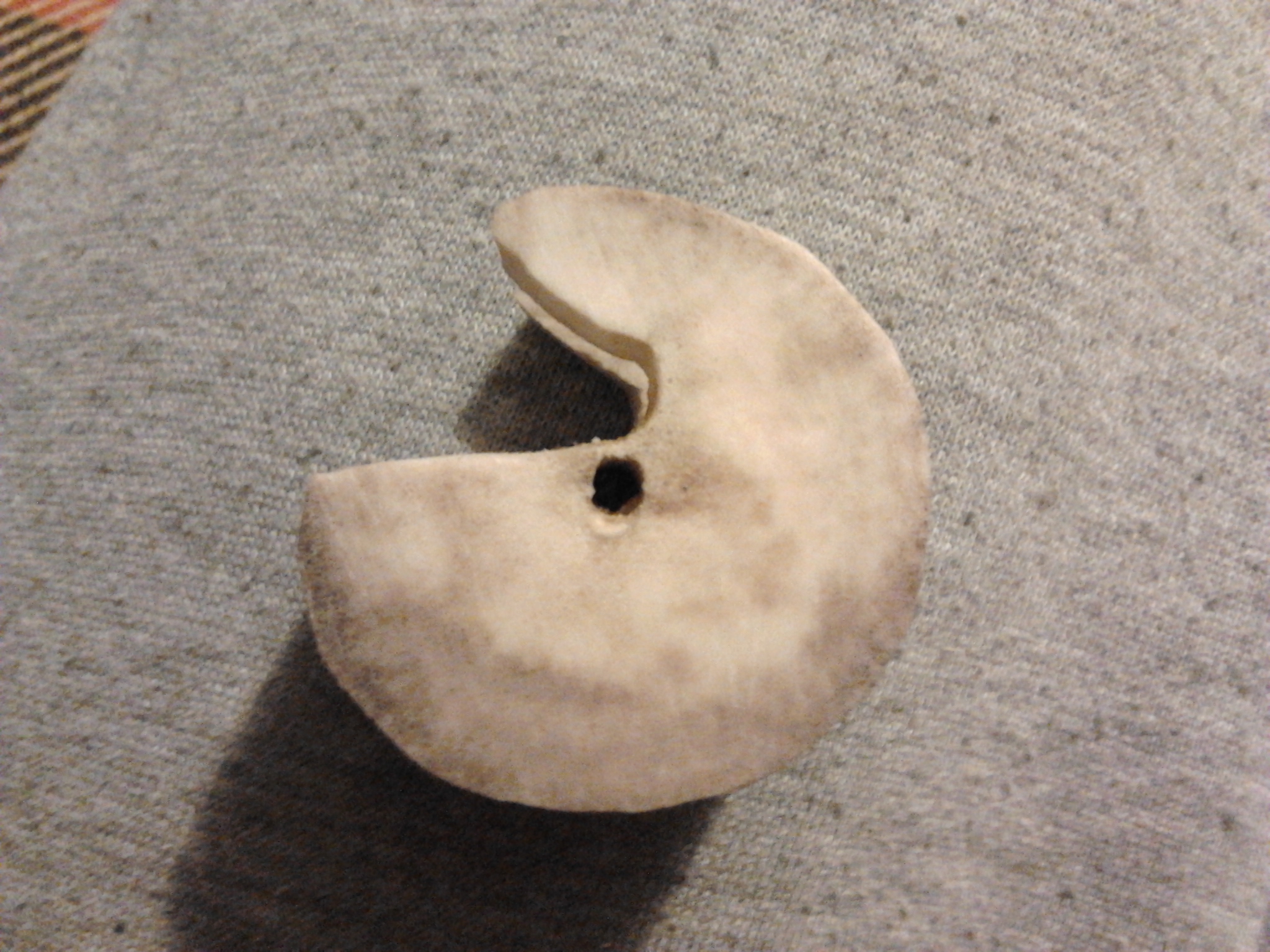 2011-12-27 18.32.39.jpg