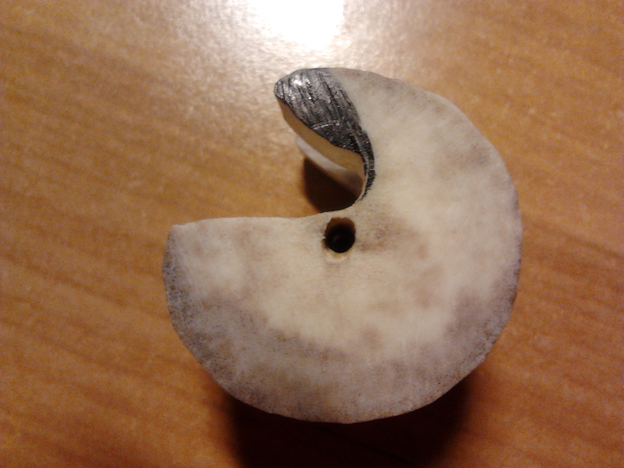 2011-12-28 21.55.00.jpg