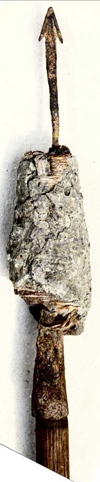 Brandbolzen, Schweiz, Det. 1 kl.jpg