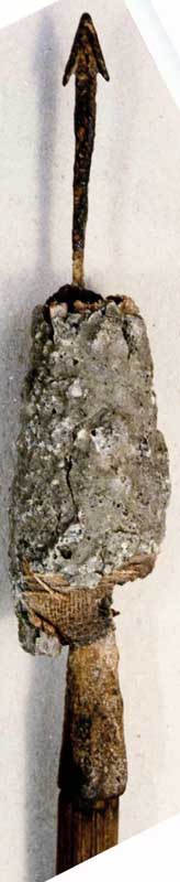 Brandbolzen, Schweiz, Det. 2 kl.jpg