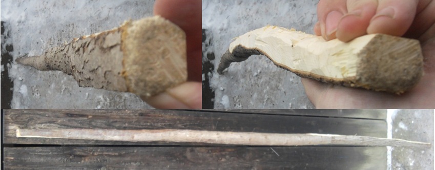 Drevo na luk Hloh.jpg