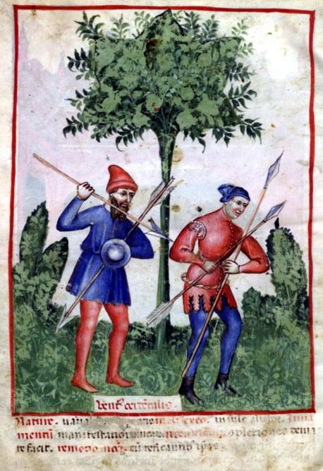 576204_343443142423733_625581265_n.jpg