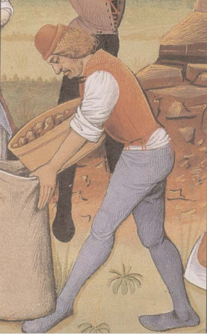 rural.PNG