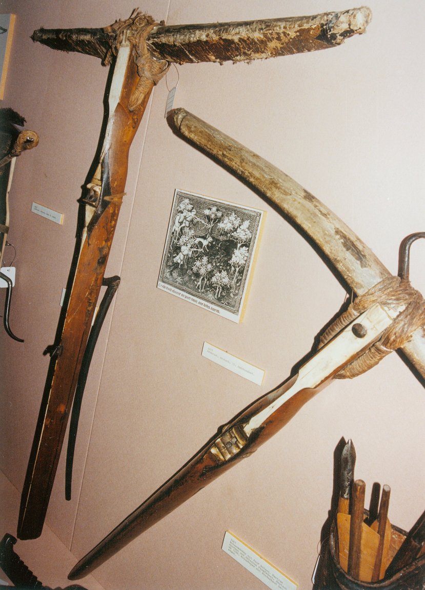 Crossbows 2.jpg